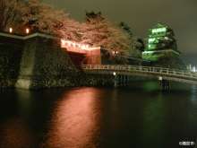 高島城桜３