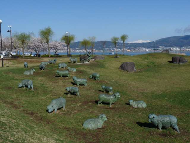 諏訪湖畔の羊群