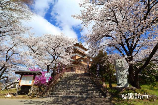 諏訪市　高島城・春２