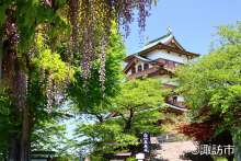 諏訪市　高島城・春５